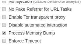 Process Memory Dump
