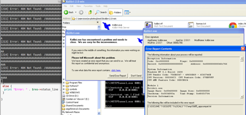 Ventana de detalles del informe de error de Kolibri.exe con la dirección de memoria del fallo
