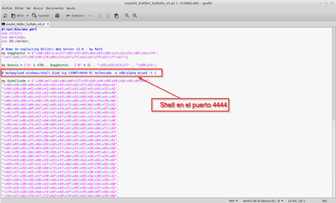Editor gedit mostrando el shellcode del egg hunter para una shell en el puerto 4444