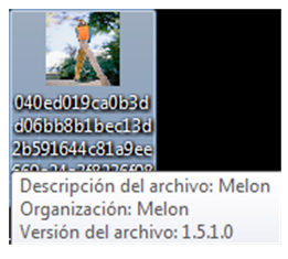 Archivo Melon -DLL de CobaltStrike