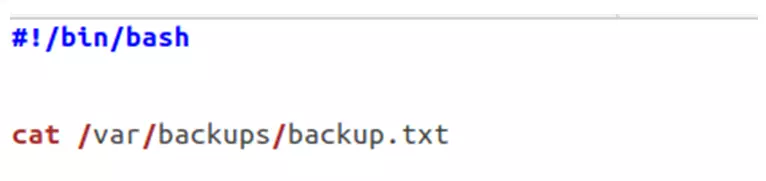 Fichero Backup.txt