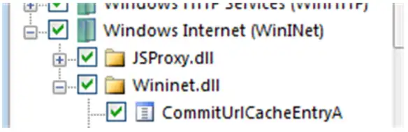 API Monitor Malware WinInet