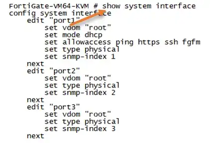 show system interface