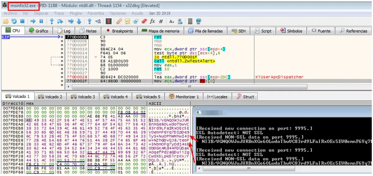 Depurador x32dbg mostrando tráfico de red capturado en el puerto 9995 del proceso msinfo32.exe