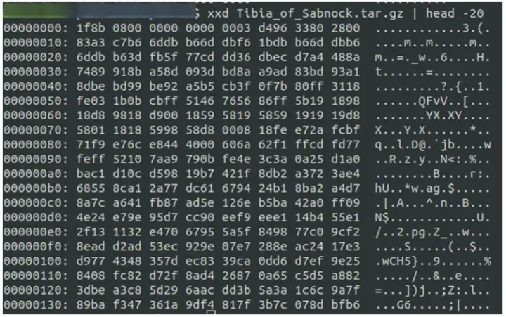 GZIP Havoc Virus Total
