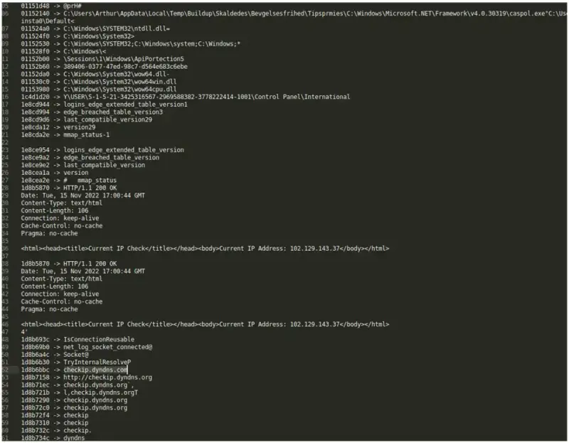 CheckIP Malware DynDNS