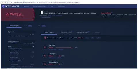 Interzer Analizer Malware Analisis