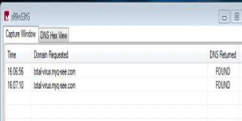 Ventana de ApateDNS capturando consultas DNS resueltas al dominio total-virus.myq-see.com