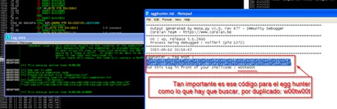 Fichero egghunter.txt de mona.py con la etiqueta w00tw00t que debe buscar el egg hunter