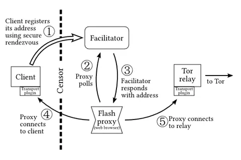 Proxy flash